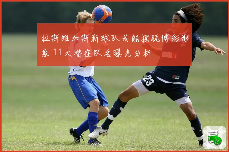 拉斯维加斯新球队或能摆脱博彩形象 11大潜在队名曝光分析