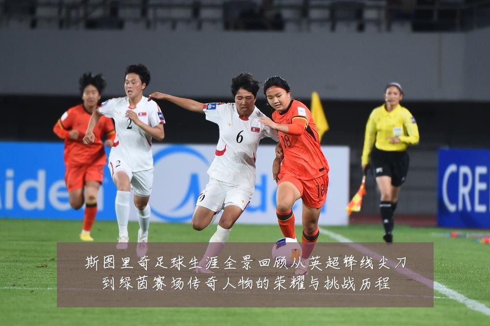斯图里奇足球生涯全景回顾从英超锋线尖刀到绿茵赛场传奇人物的荣耀与挑战历程