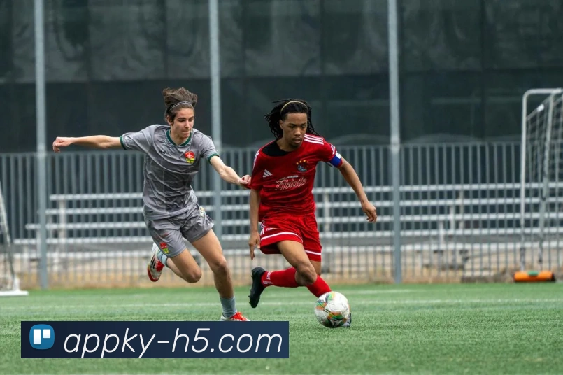 开云平台展示图